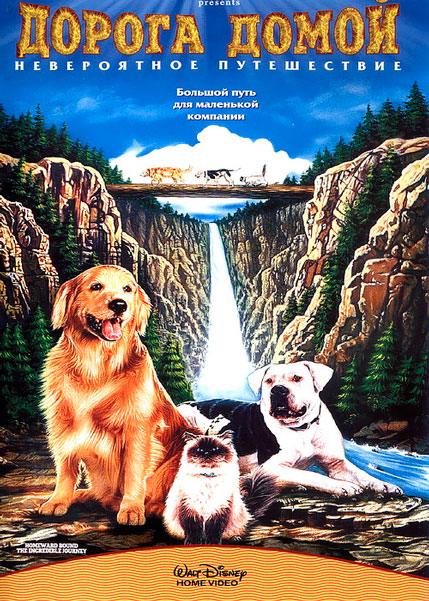 Постер к фильму Дорога домой: Невероятное путешествие