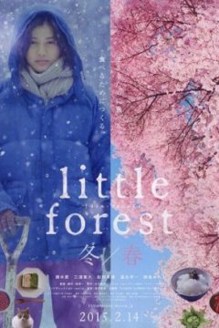 Постер: Небольшой лес: Зима и весна