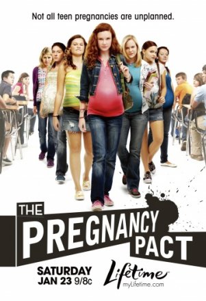 Постер к фильму Договор на беременность