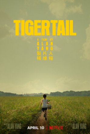 Постер к фильму Хвост тигра