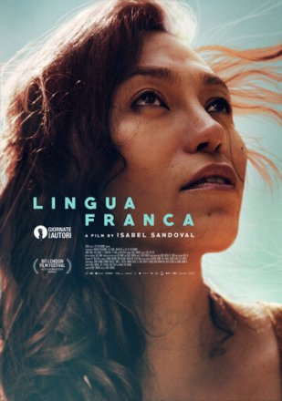 Постер к фильму Лингва франка