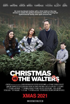 Постер к фильму Рождество против Уолтерсов