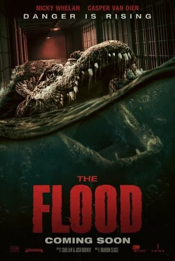 Постер к фильму Наводнение